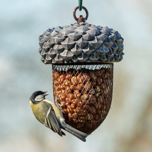 Acorn Bird Feeder