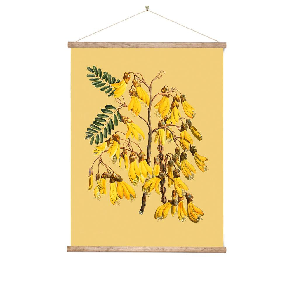Vintage Botannical Kowhai Wall Chart