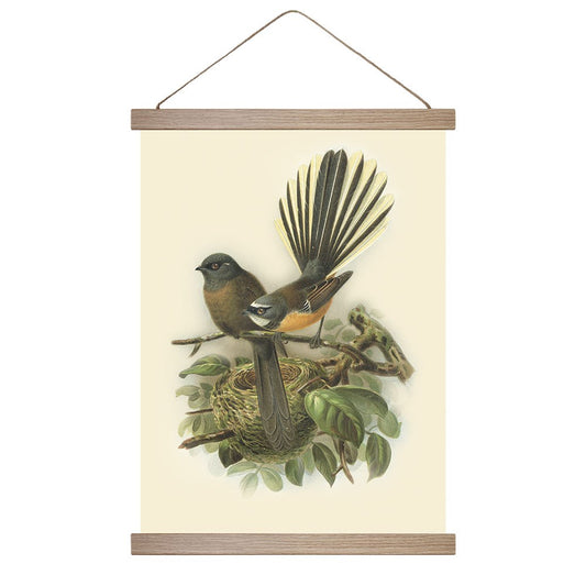 Buller's Fantail Wall Chart