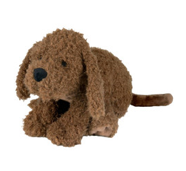 Happy Horse Labradoodle Larry
