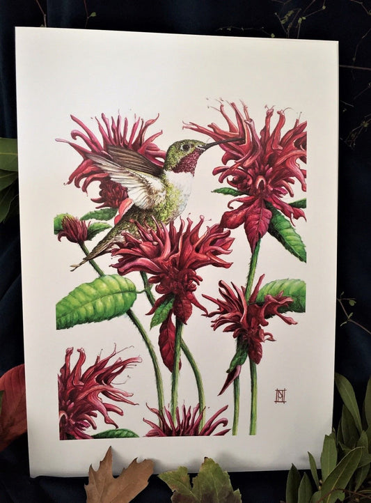 Hummingbird Card & Print
