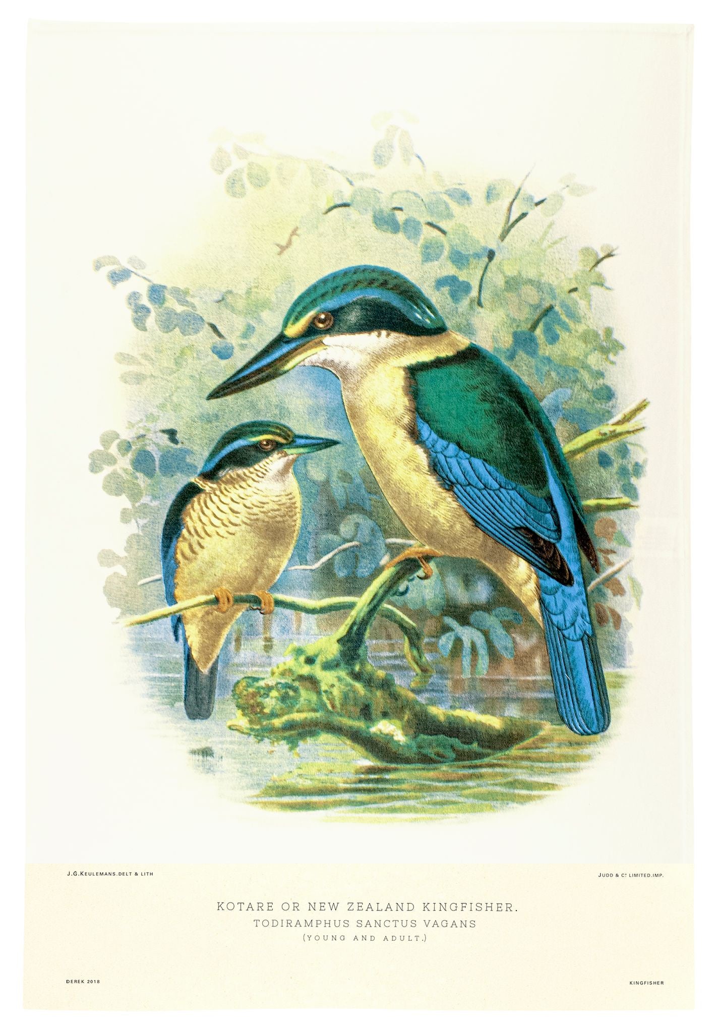 Prestige Tea Towel - Kingfisher