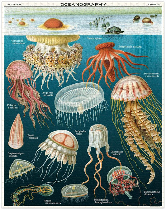 Cavallini 1000 Piece Puzzle - Jellyfish