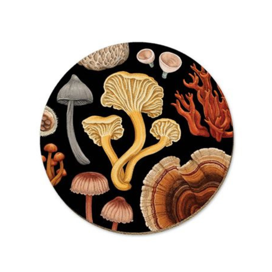 NZ Fungi Series Placemats & Coasters Bolete