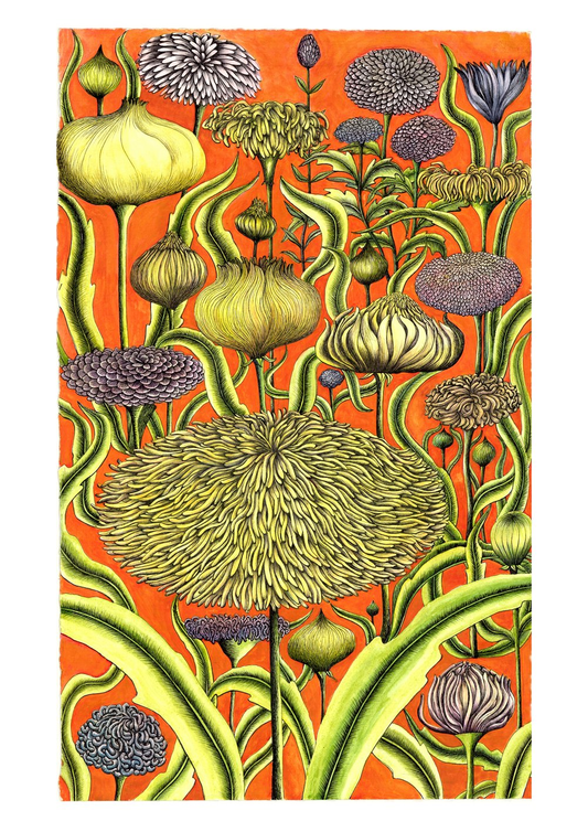 Flowers In Orange A3 Print by Sue Syme