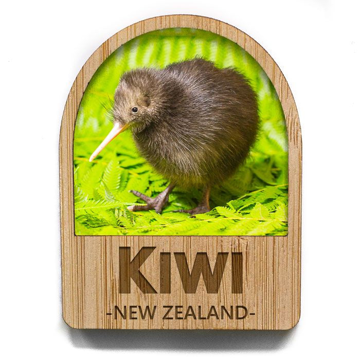 Baby Kiwi Bamboo Magnet