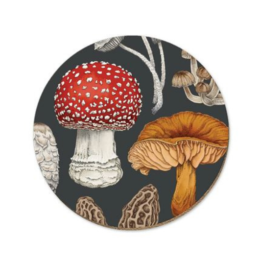 NZ Fungi Series Placemats & Coasters Morchella