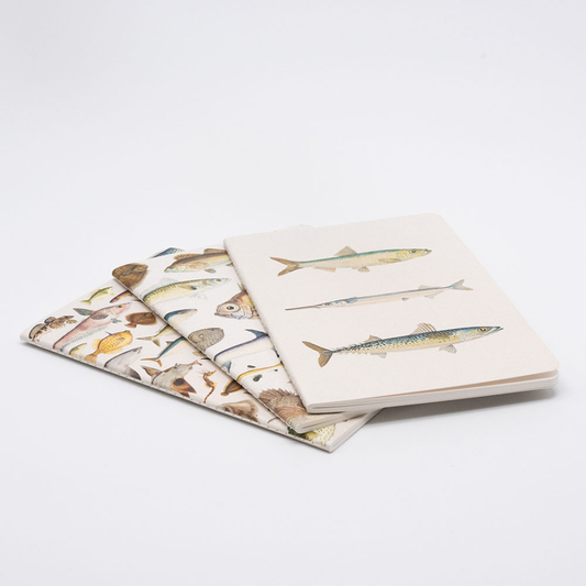 Fishes of NZ Notebook Set of 3