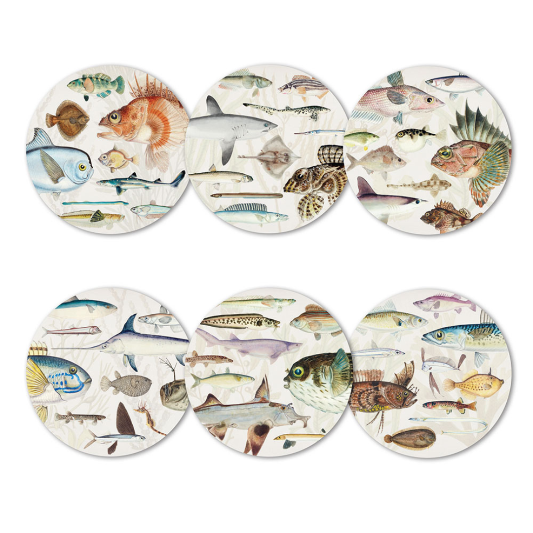 Fishes of NZ Coasters Boxed Set