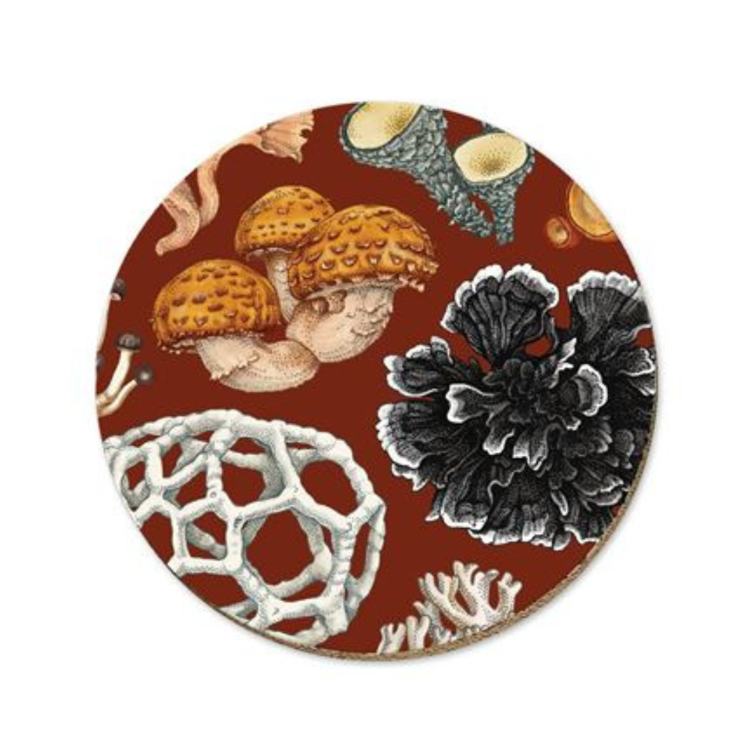 NZ Fungi Series Placemats & Coasters Phellodon