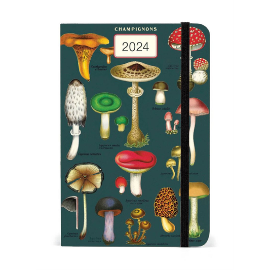 2024 Notebook Planner, Address & Diary NZ Fungi