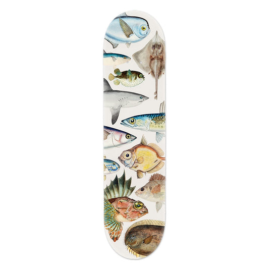 Fishes of NZ Skate Deck Art