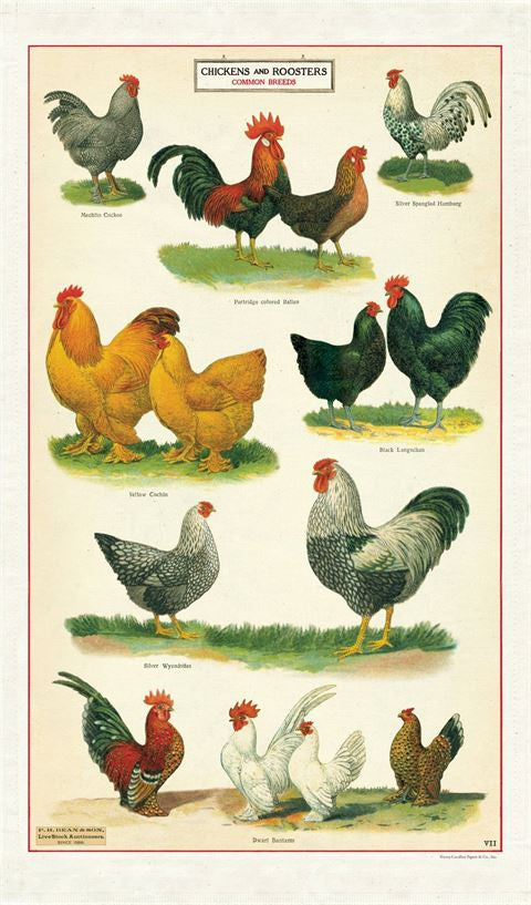 Cavallini Vintage Cotton Tea Towel - Chickens