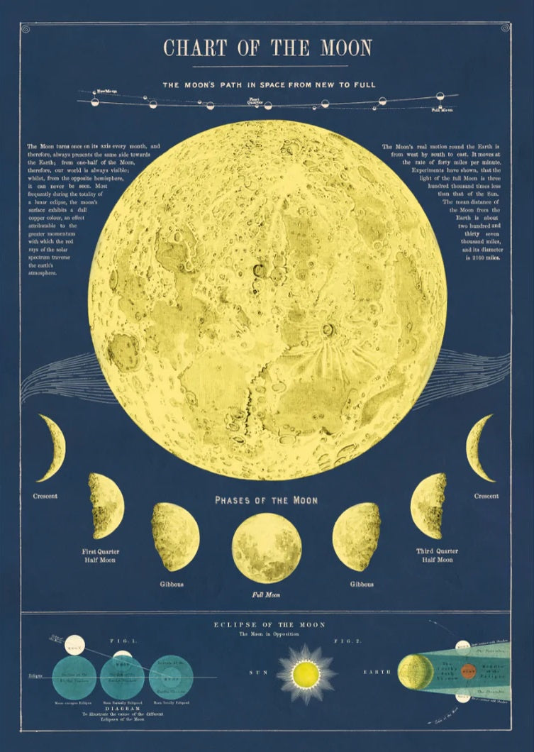 Cavallini Poster or Gift Wrap Chart of the Moon