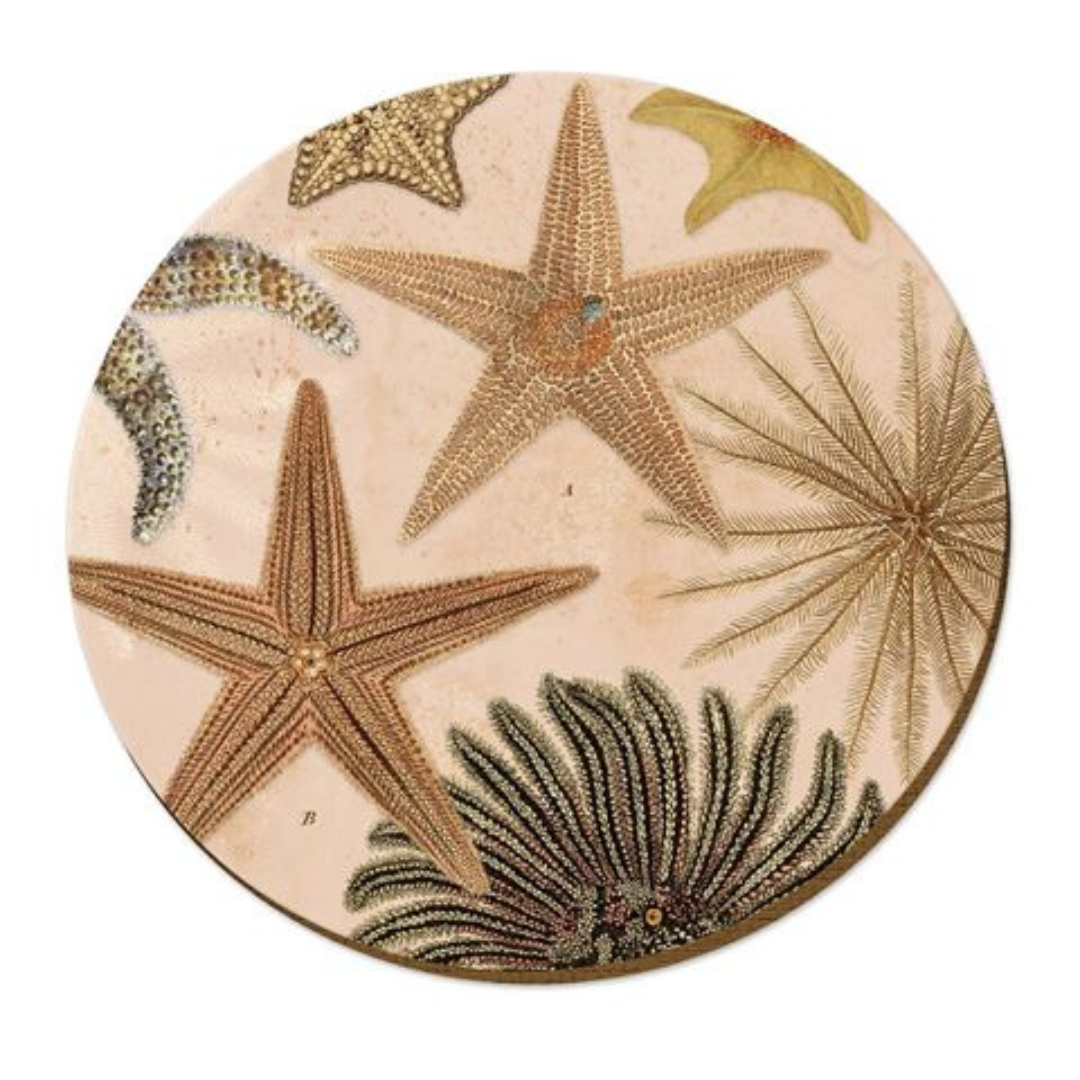 Coastal Series Placemats & Coasters Patangaroa