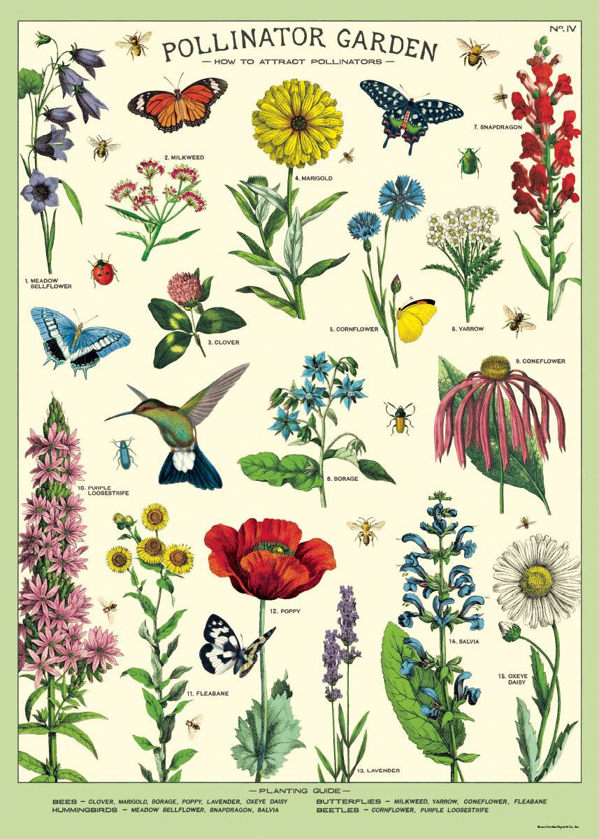 Cavallini Poster Pollinator Garden