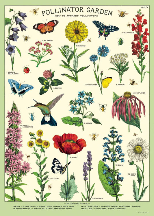 Cavallini Poster Pollinator Garden