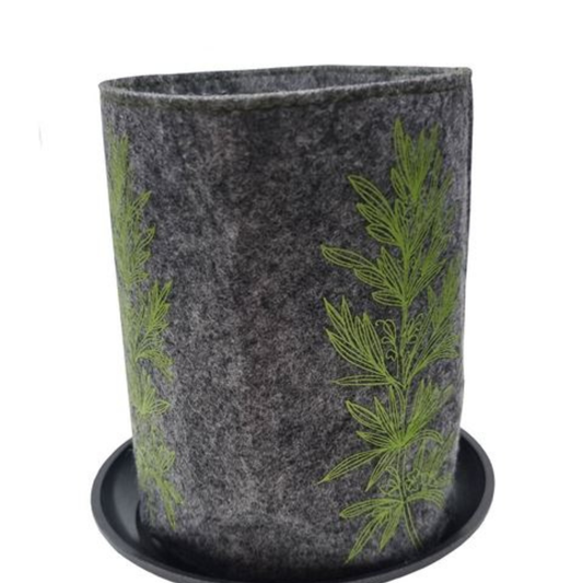 Ecofelt Grow Bag Grey Green Rosemary